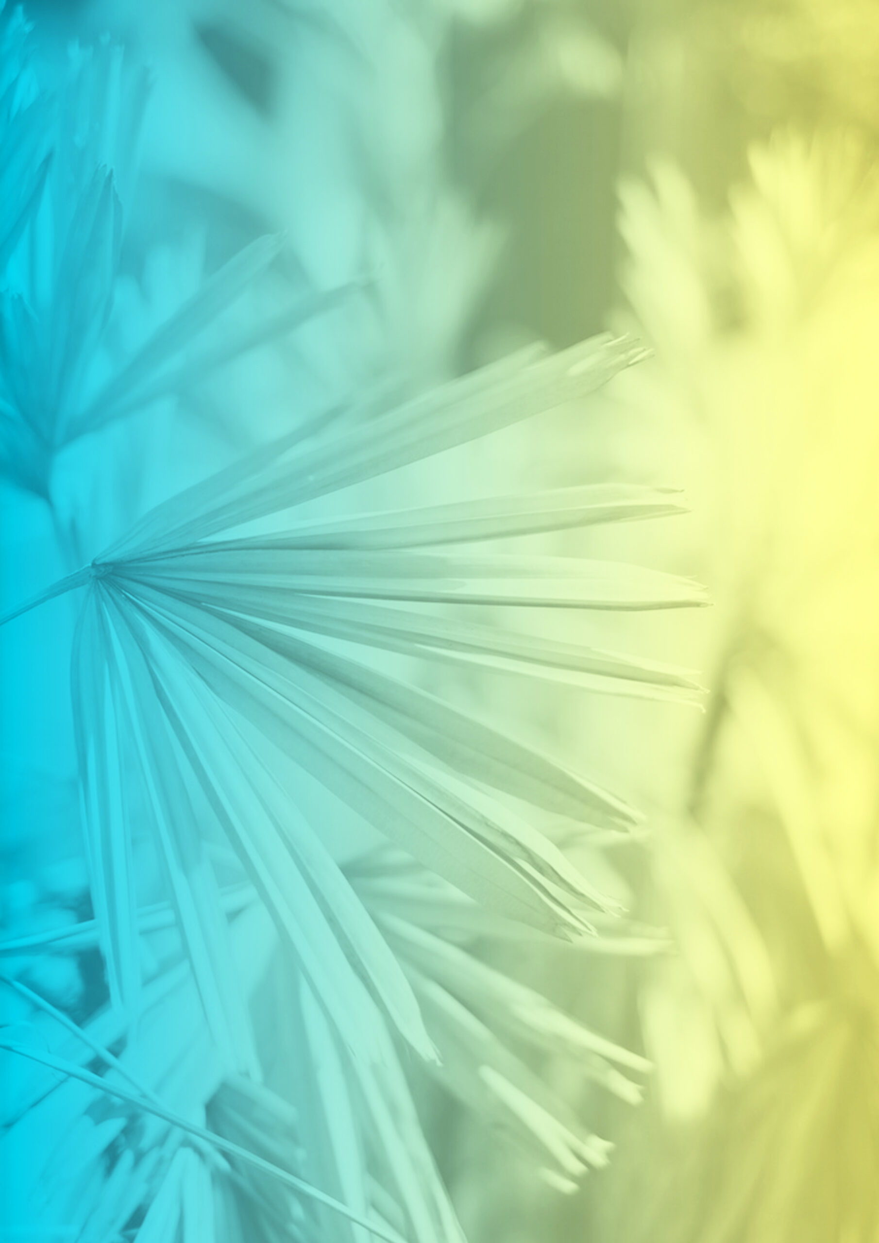 Image de décoration abstraite dans avec un dégradé du bleu au jaune.